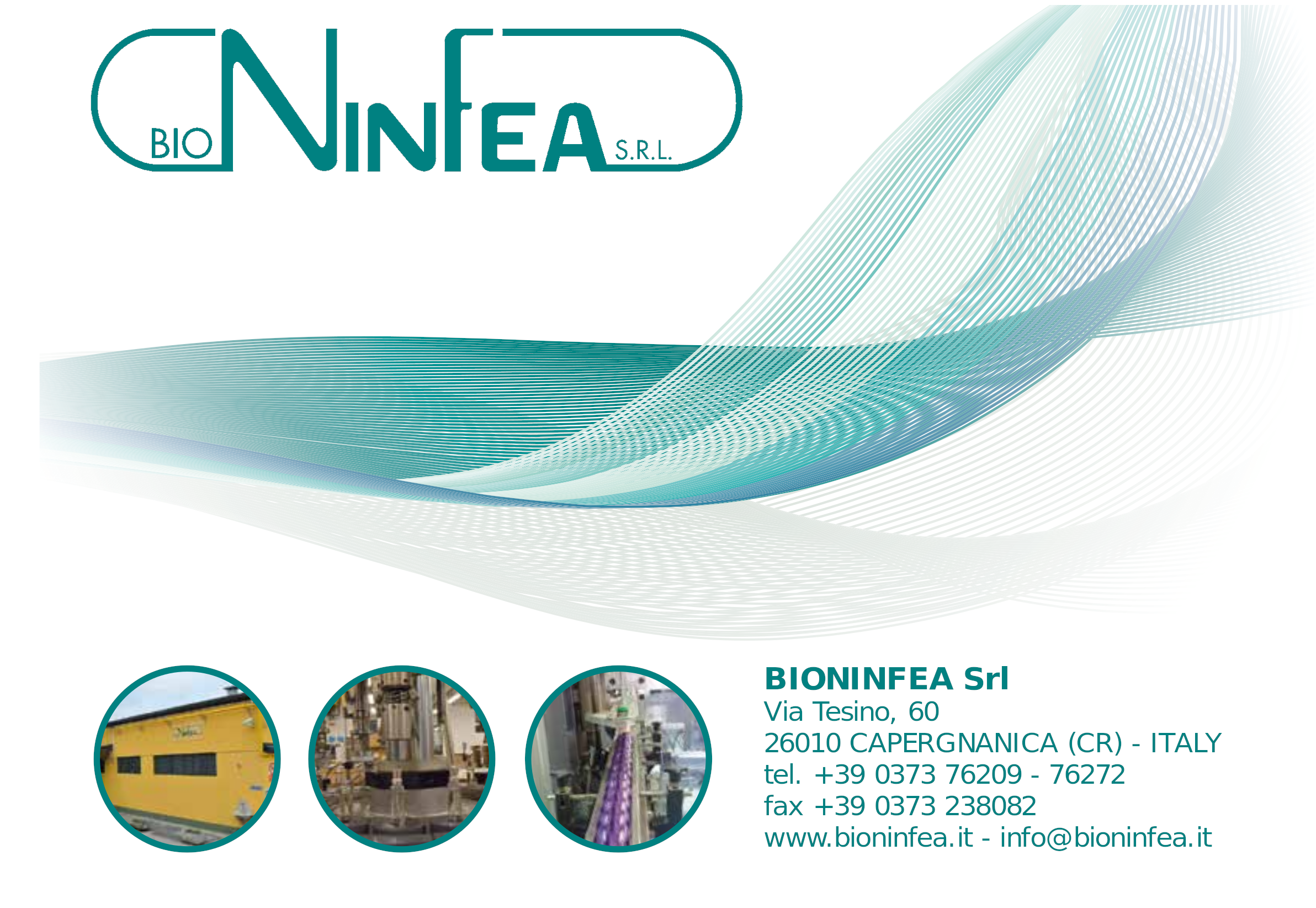 Bioninfea